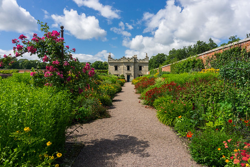 garden photo