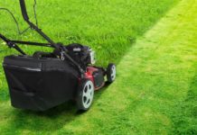 Jak wybrać kosiarkę
