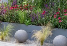 Polowanie na deszczówkę