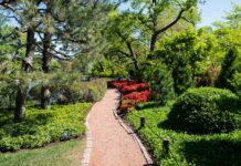 Najlepsze materiały na ścieżki ogrodowe – który wybrać? piękna ścieżka ogrodowa