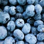 Borówka amerykańska wymaga kwaśnego podłoża i regularnego nawadniania, by wydać soczyste owoce