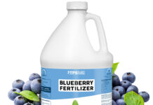 Jak prawidłowo nawozić borówkę amerykańską wczesną wiosną? Borówka wiosną wymaga nawożenia nawozami wieloskładnikowymi o kwaśnym odczynie dla optymalnego wzrostu