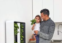 Hydroponika – uprawa roślin bez ziemi, która zmienia zasady domowego ogrodnictwa Hydroponika to uprawa roślin bez ziemi w roztworze wodnym z składnikami odżywczymi