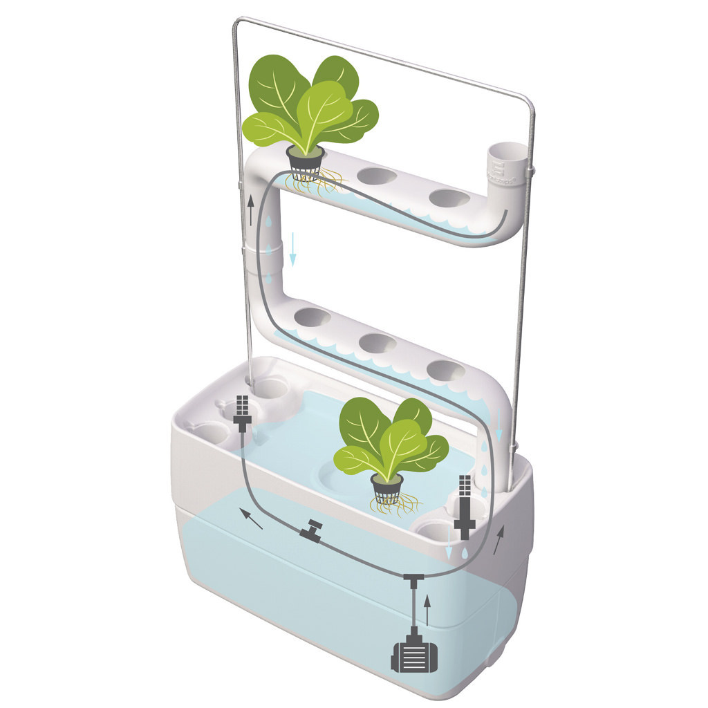 hydroponika to uprawa roślin bez ziemi