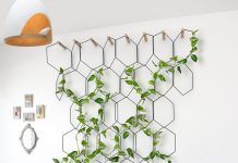 Szybkorosnące pnącza do salonu: które gatunki w parę miesięcy zamienią Twoje wnętrze w zielony azyl 5432198a pnacza salon