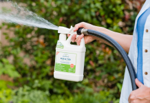 Oprysk na kleszcze w ogrodzie: jakie preparaty wybrać, kiedy je stosować i jak zabezpieczyć trawnik na cały sezon? bezpieczny ogrod po oprysku kleszczowym 1770949504