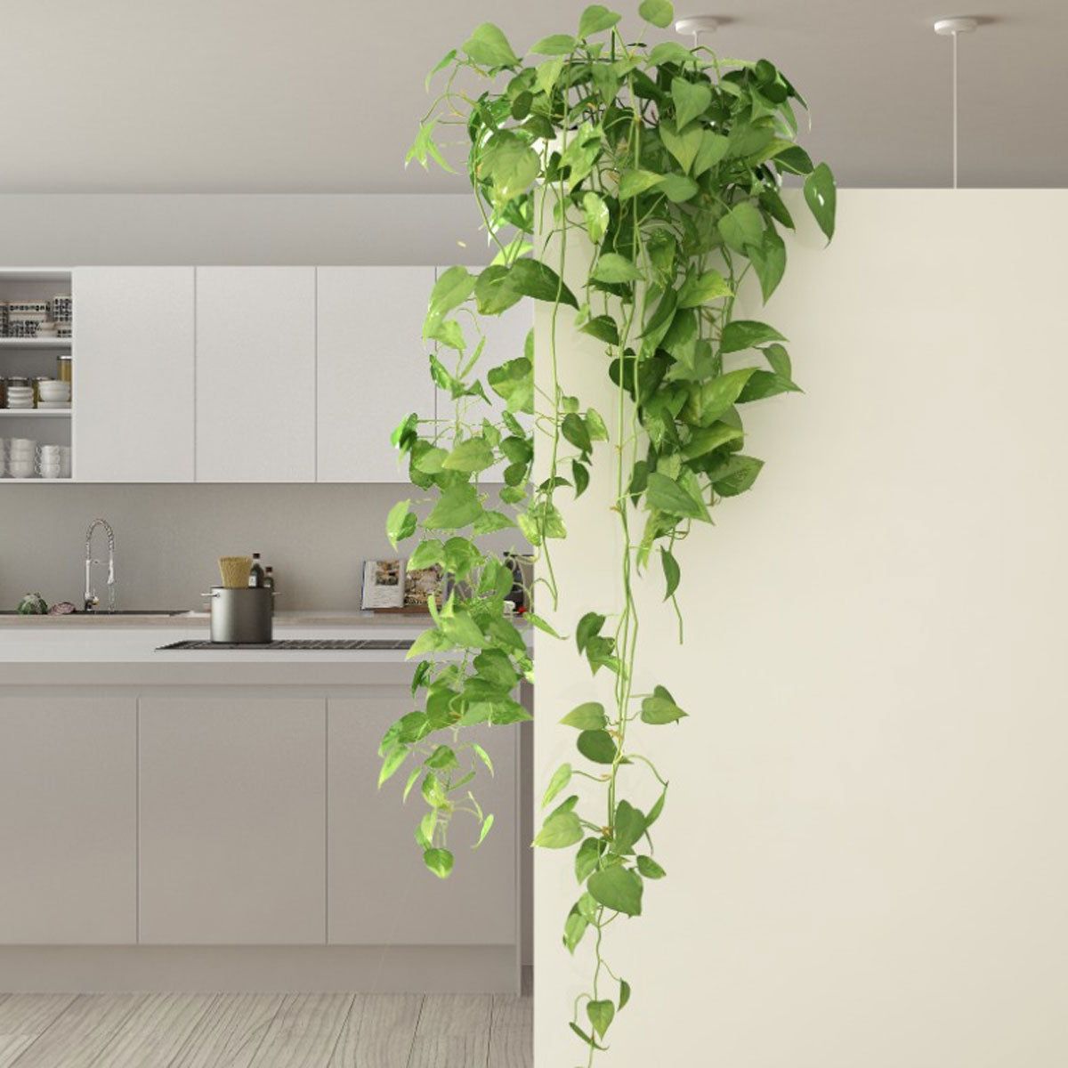 filodendron o sercowatych liściach płożący się po drewnianej półce w salonie