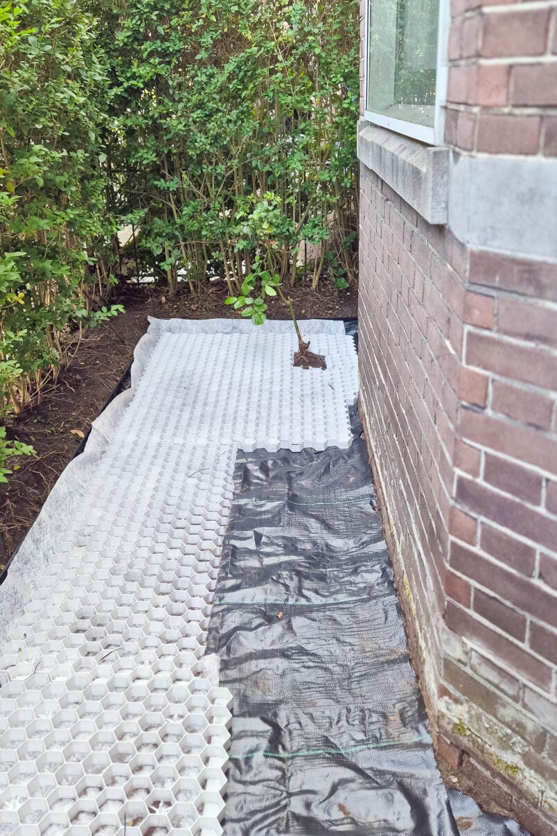 chwast wyrastający przez agrowłókninę zbliżenie na zielony chwast przebijający czarną agrowłókninę pod kamieniami