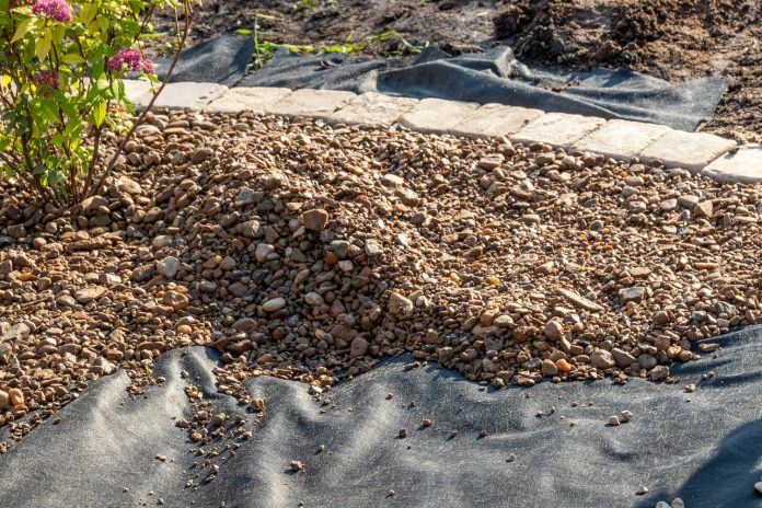 korzenie drzew przebijajace wloknine ogrodowa 1770949715 korzenie drzew przebijajace wloknine ogrodowa 1770949715