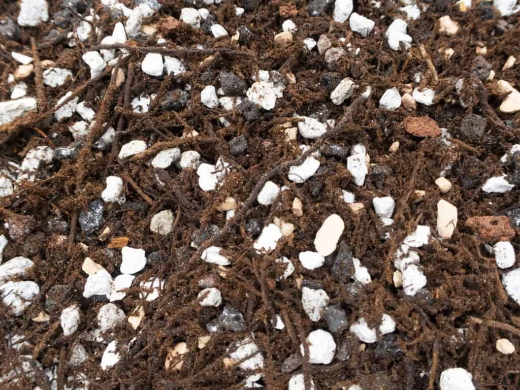 mieszanka ziemi z piaskiem i torfem w wiadrze obok liści