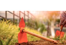 Motyka do pielenia chwastów: jakie rodzaje i kształty sprawdzą się w Twoim ogrodzie? ogrodnik w słomianym kapeluszu pielący chwasty motyką w warzywniku