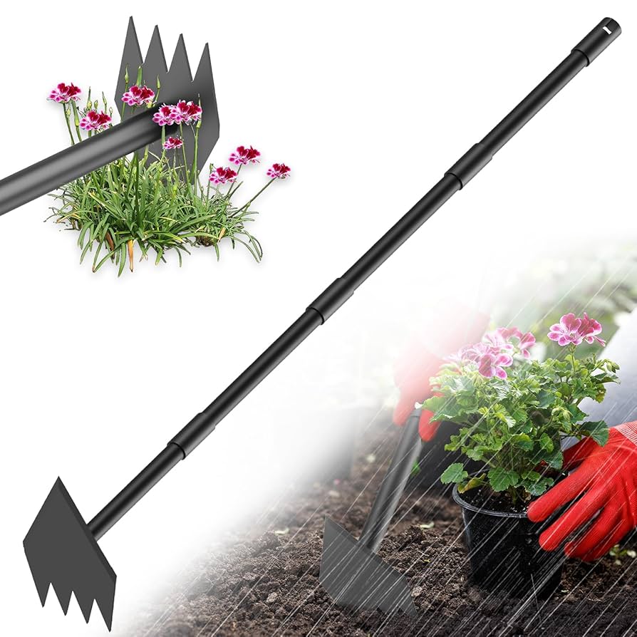 pielenie chwastów motyką na gliniastej glebie z widocznymi korzeniami