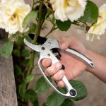 porownanie felco fiskars sekatorow do rozy 1770951180