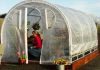 Tunel foliowy na pomidory – jak dobrać wymiary, rodzaj folii i wentylację? rama metalowa tunelu foliowego na polu 1770950329