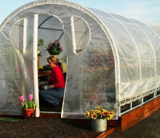 Tunel foliowy na pomidory – jak dobrać wymiary, rodzaj folii i wentylację? rama metalowa tunelu foliowego na polu 1770950329