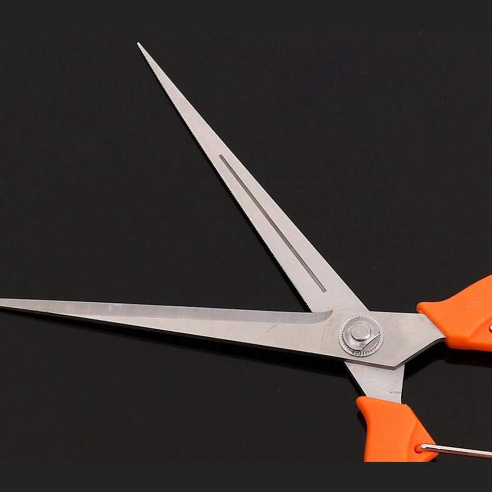 zbliżenie ostrzy sekatora bypass z czystym cięciem świeżej łodygi róży