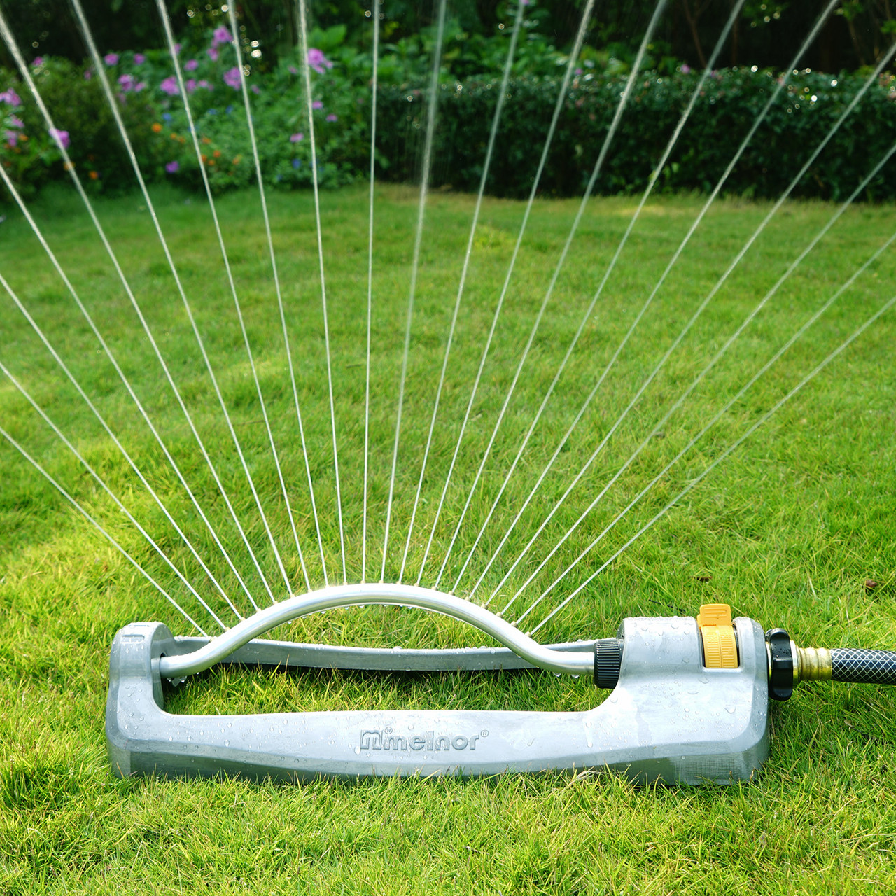 efekt podlania trawy zraszaczem wahadłowym sucha brązowa trawa obok mokrej zielonej po podlaniu zraszaczem