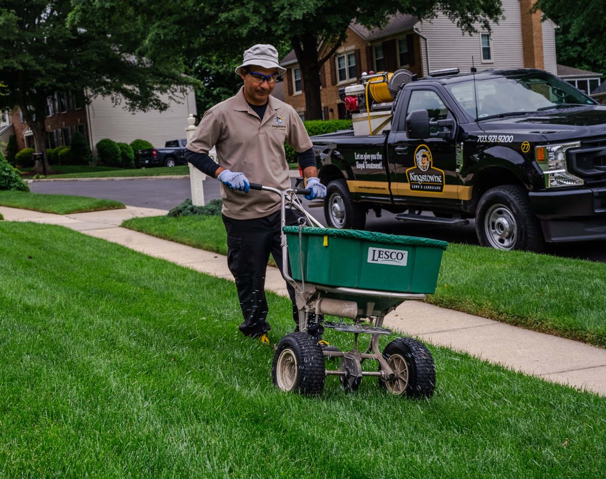 kobieta wsypuje granulat obornika do rozsiewacza ręcznego w ogrodzie