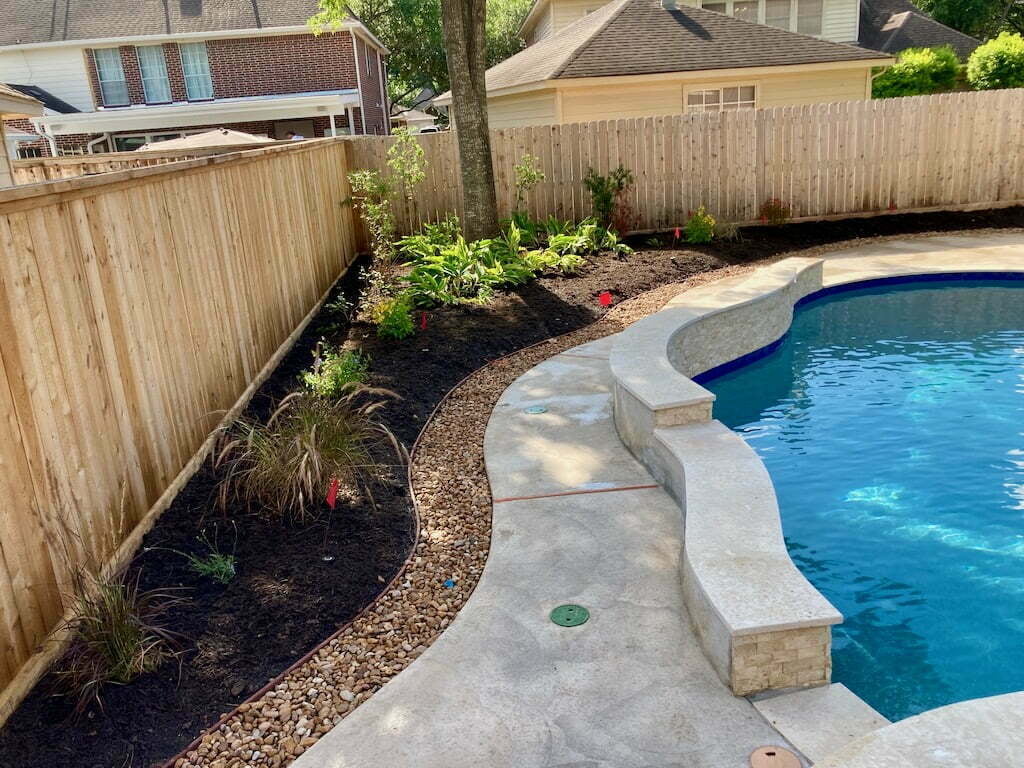 młode drzewka owocowe z pniami okrytymi grubą korą sosnową na wilgotnej glebie