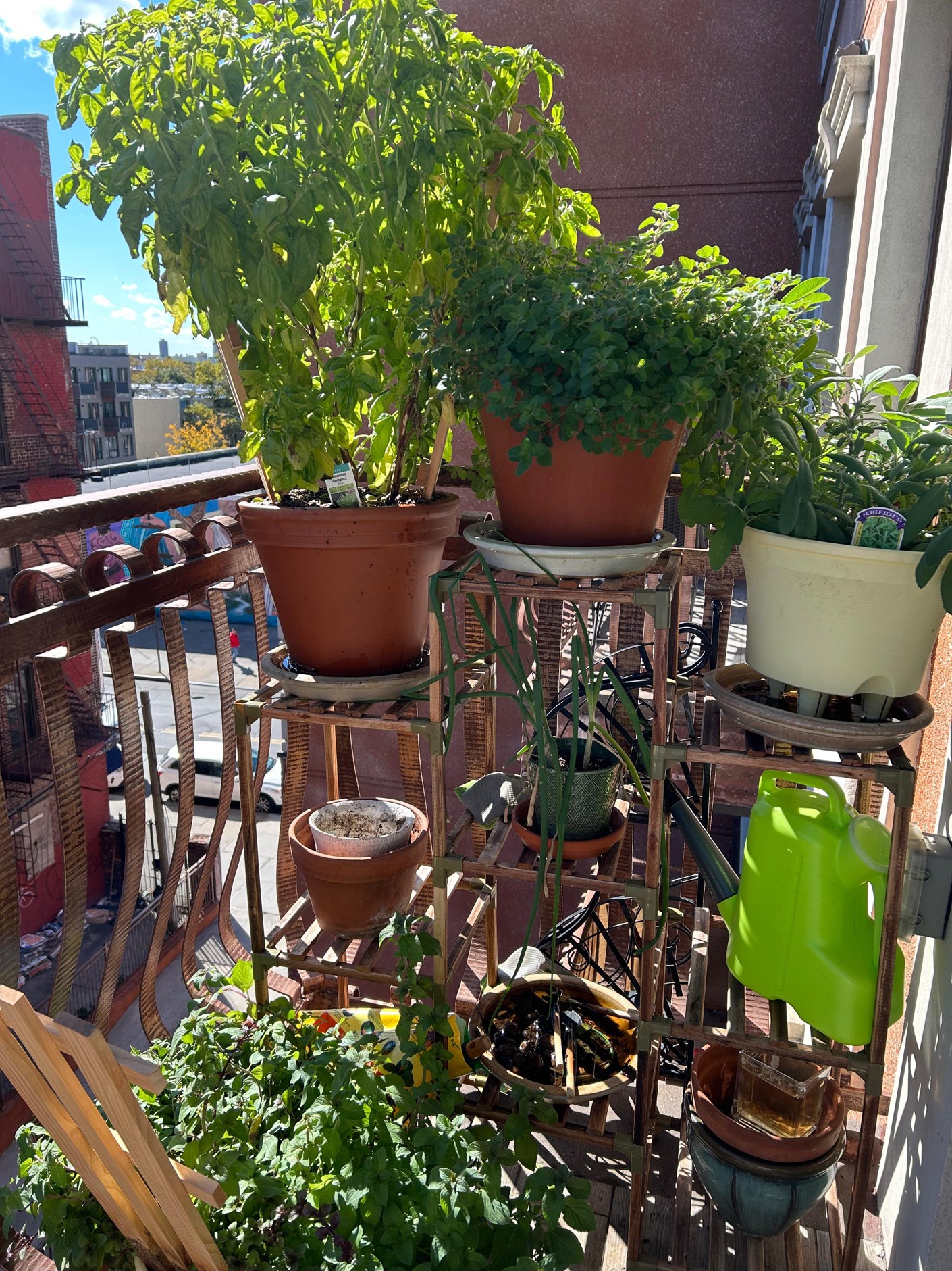 Słoneczny balkon dla mięty pieprzowej